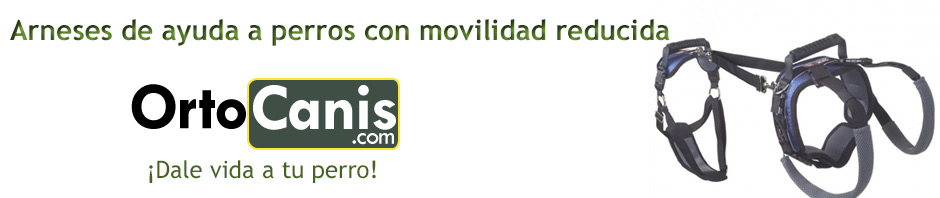 Arneses para perros con movilidad reducida