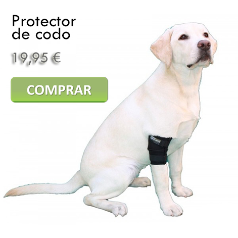 Protector de codo canino