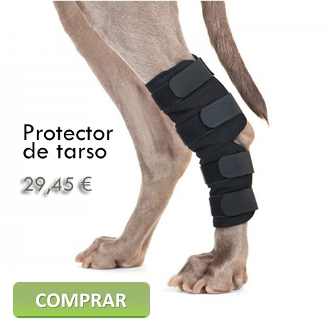 Protector de tarso