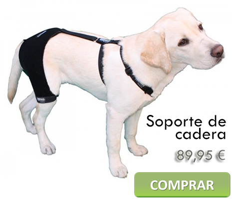 soporte-de-cadera-canino_preu