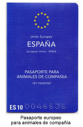 Pasaporte pequeño