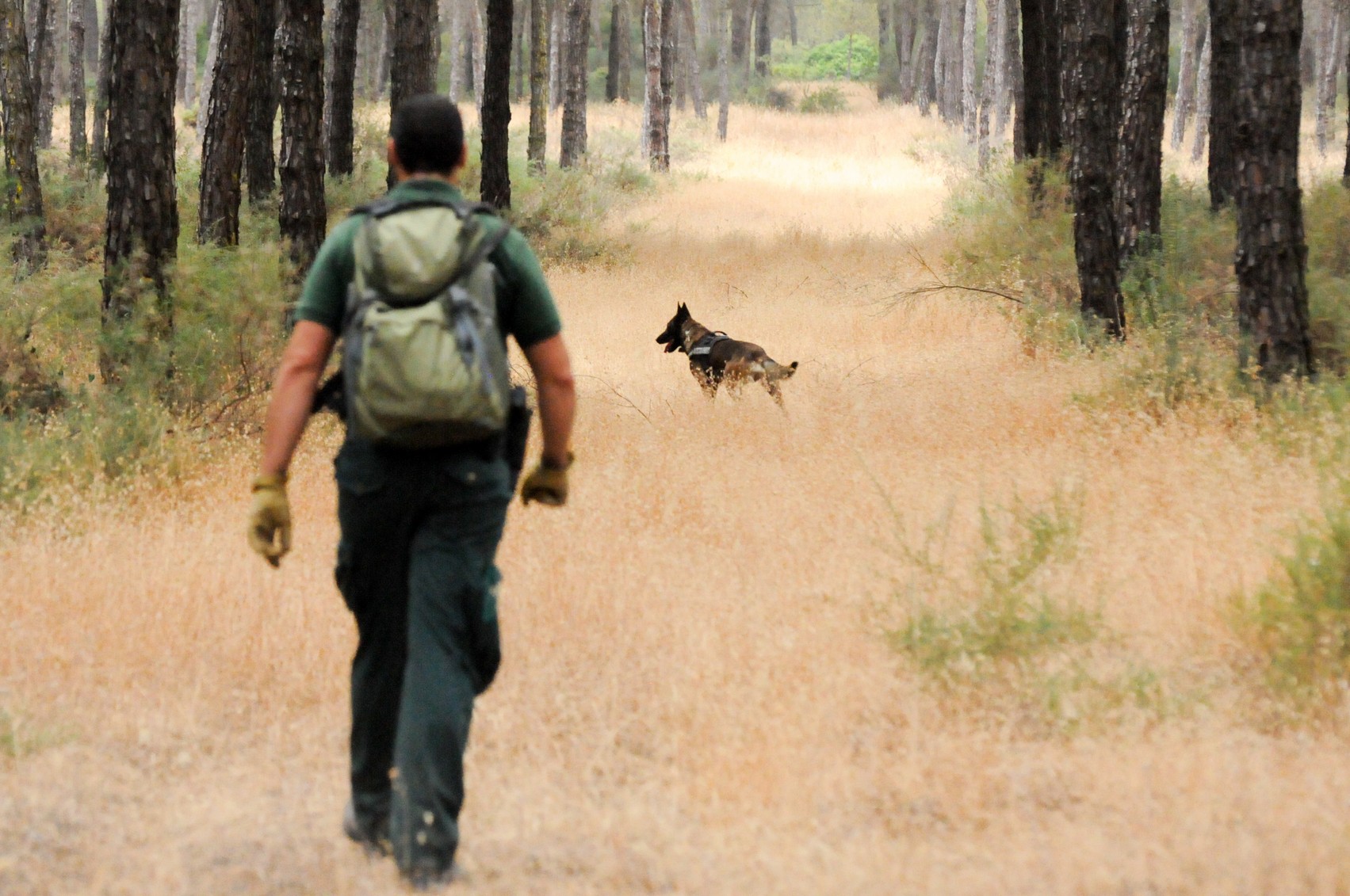 Unidad-Canina-del-Seprona-©Seprona