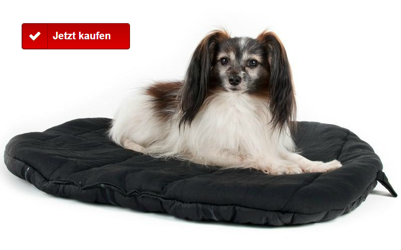 spezialmatratze für hunde
