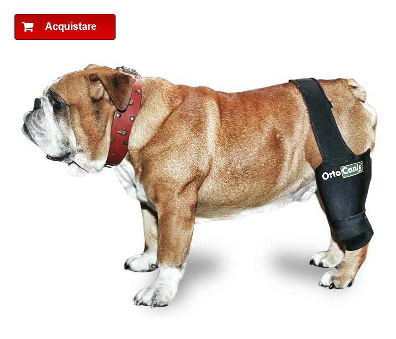 Tutore ginocchio per cani
