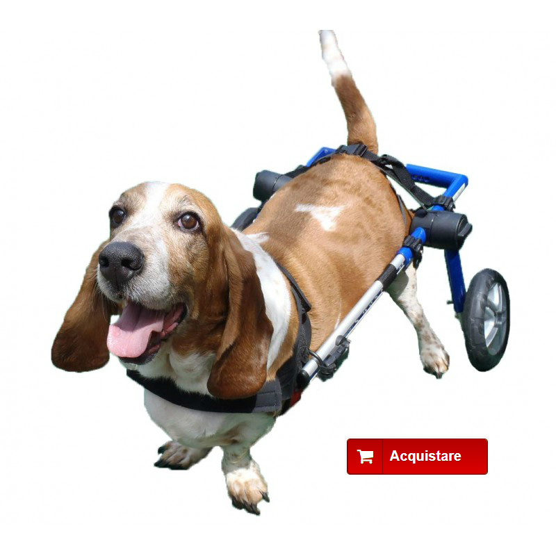 Carrello per cani con problemi di mobilità