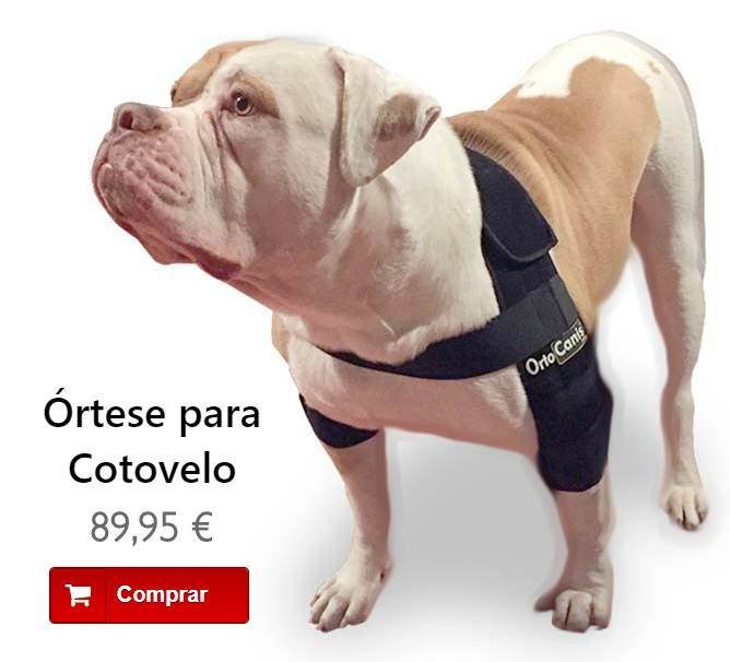 Displasia do cotovelo