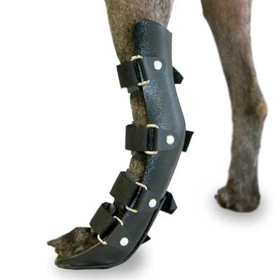 Dog splint