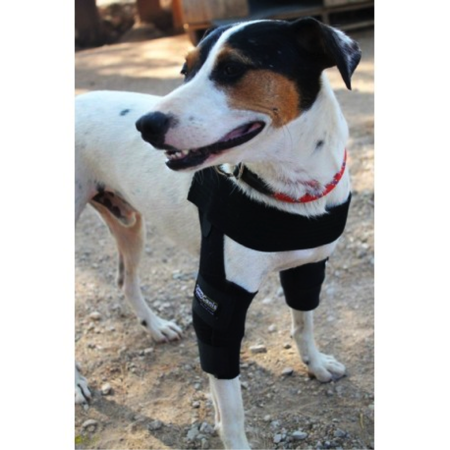 dog shoulder stabilization brace