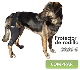 Protector de Rodilla canino