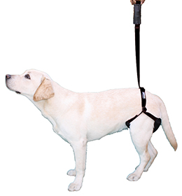 Harness support pack for dogs