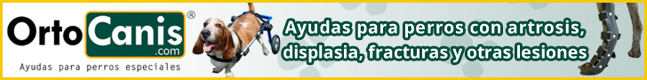 Ayudas para perros con paraplejia