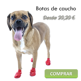 Rubber boots for dogs