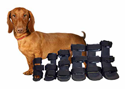 Pack of Orthopedic Frontlimb Splints