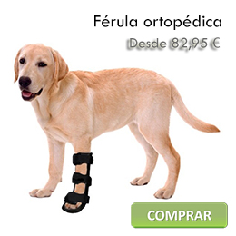 Férula ortopédica para perro