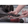 Front Leg Splint for Dogs