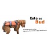 buy Lifting Harness - Technical assistance