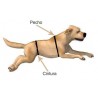 buy Lifting Harness - Technical assistance