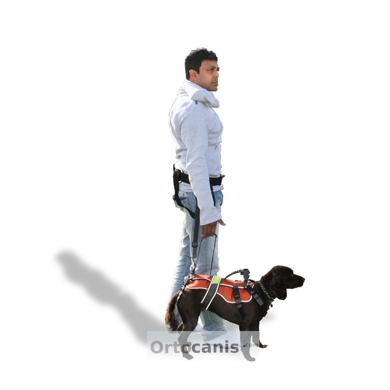 buy Lifting Harness - Technical assistance