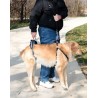 acquistare Imbracatura d'assistenza per cani - Supporti tecnici