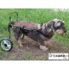 Dog wheelchair