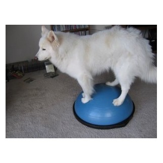 Bosu Balance Trainer
