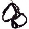 Dog Harness