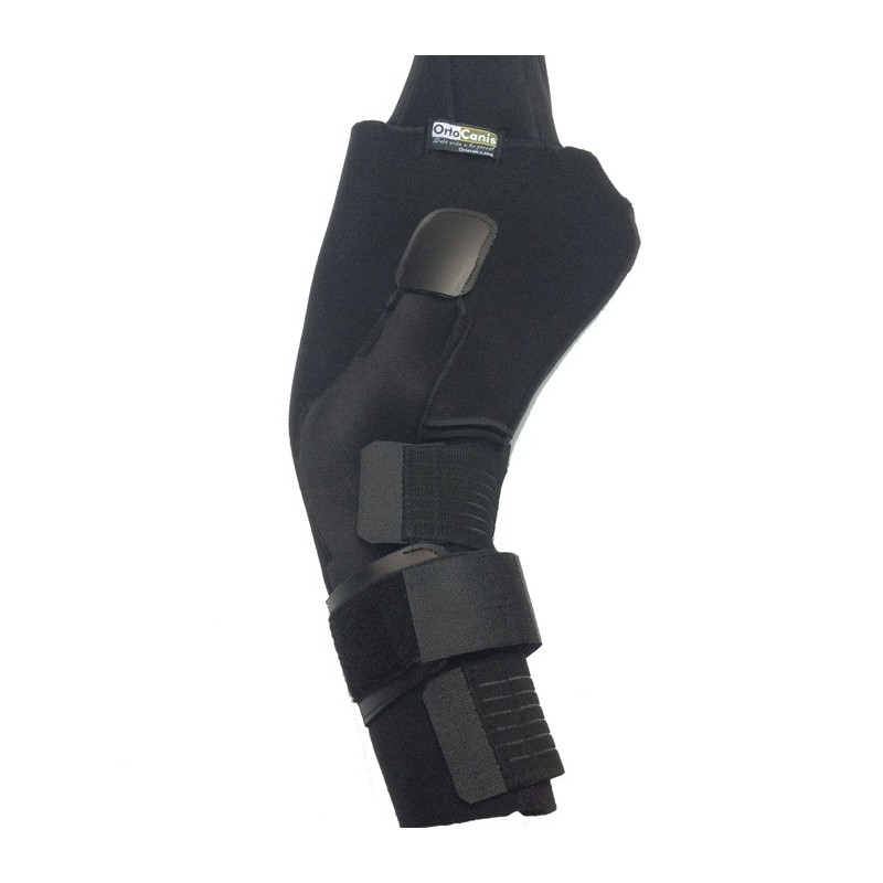 Hinged Knee Brace for Dogs
