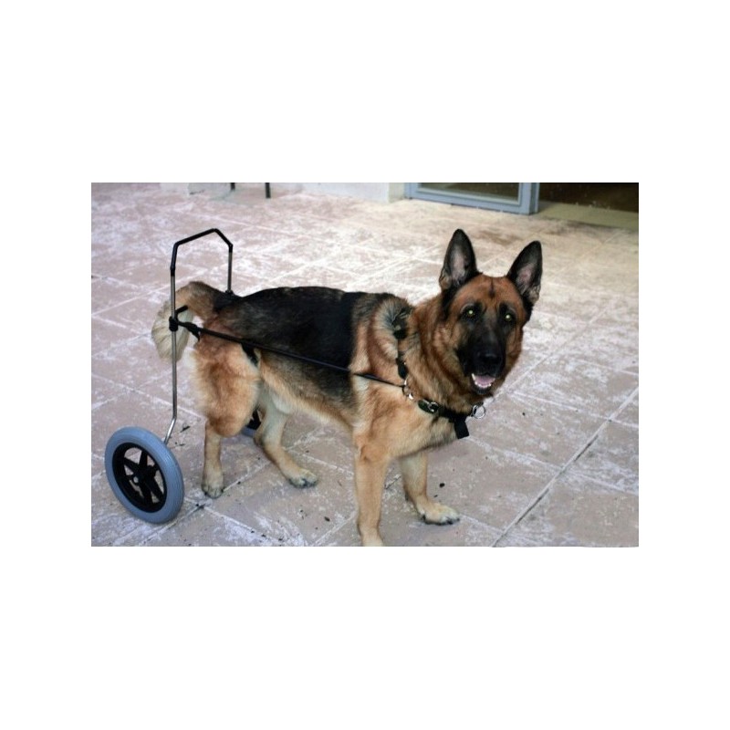 buy Additional wheels for custom wheelchair - Productos adicionales