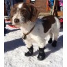 buy Dog booties - Technical assistance