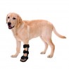 Tala ortopédica para cães. Membro Anterior.