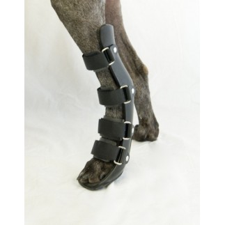 Orthopedic splint dog. Hindlimb.