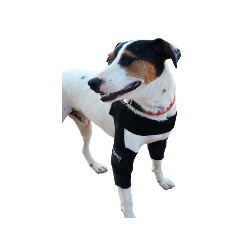 Pack canine elbow orthosis