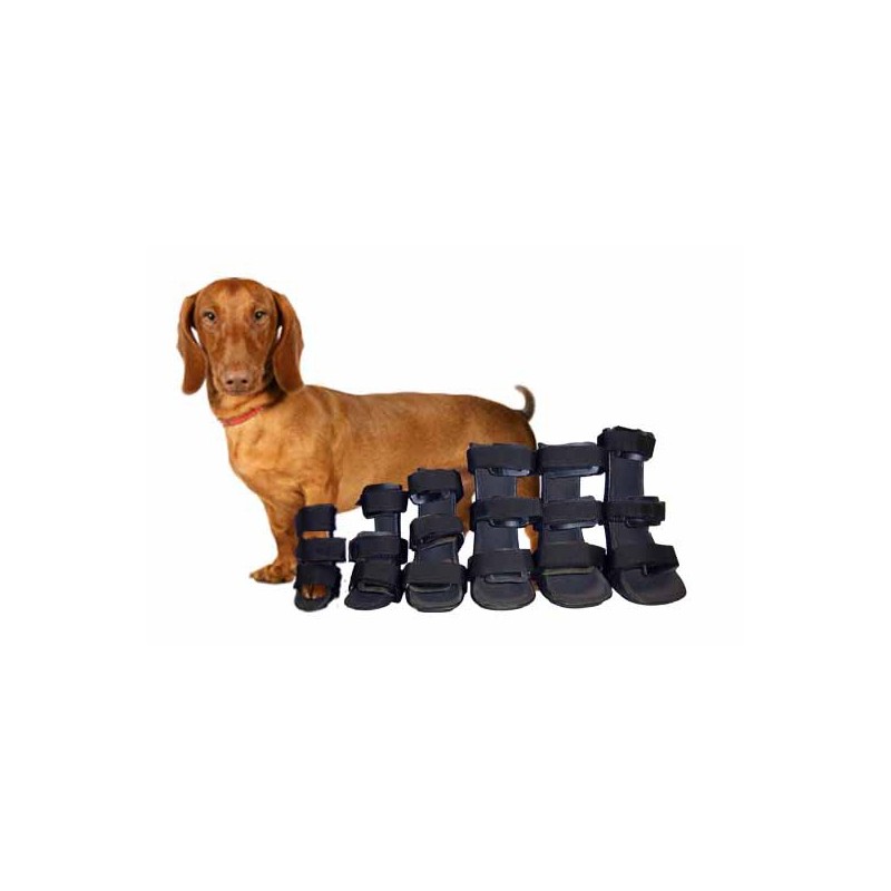 Dog deals boot splint
