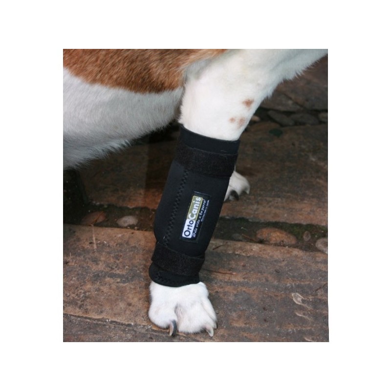 Tutore carpo per cani - set di 7 unità