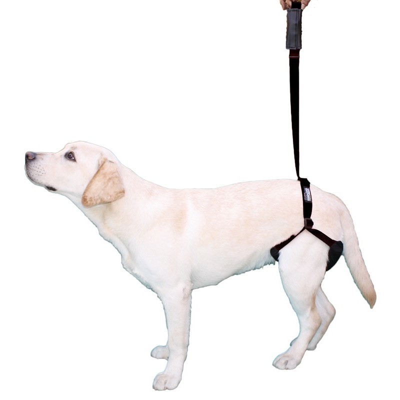 Pack harness support 5