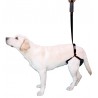 Pack harness support 5