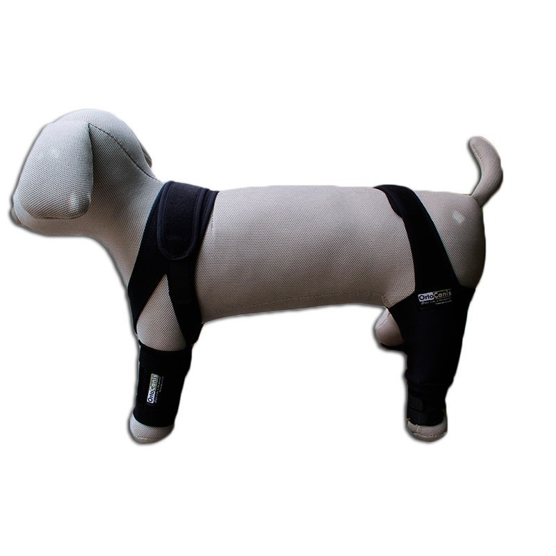 acheter Dummy chien - Produits supplémentaires