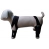 acheter Dummy chien - Produits supplémentaires