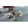 Fauteuil roulant chien