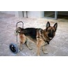 Dog wheelchair as