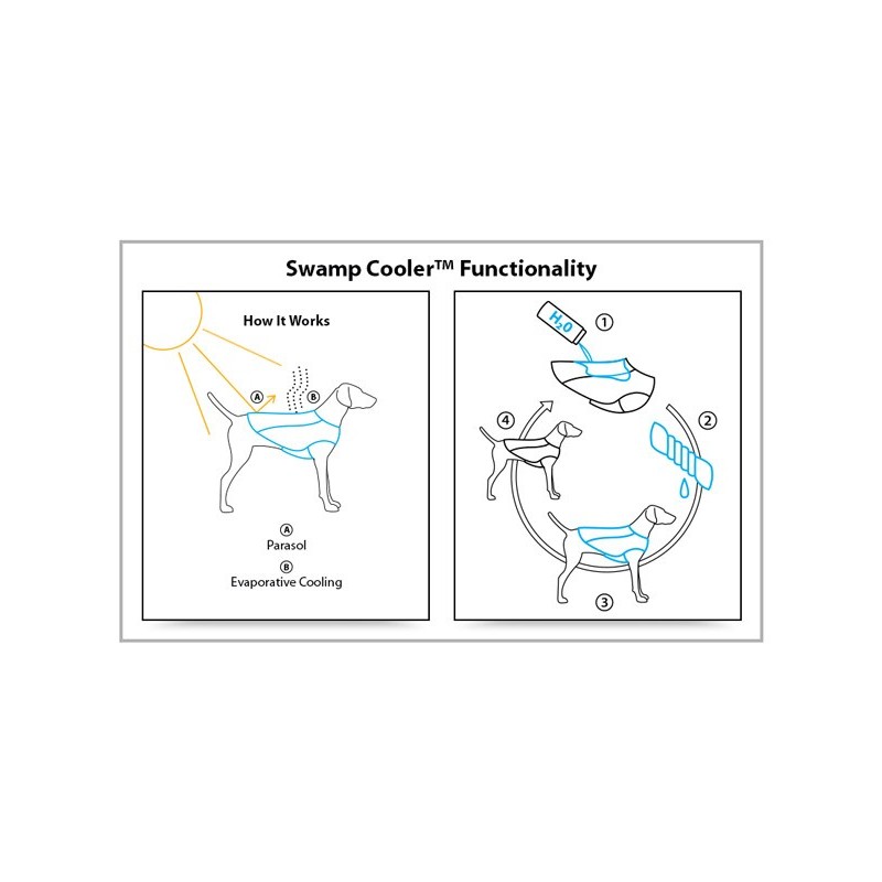 Cooling vest