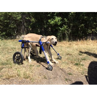 Dog accessory front wheels