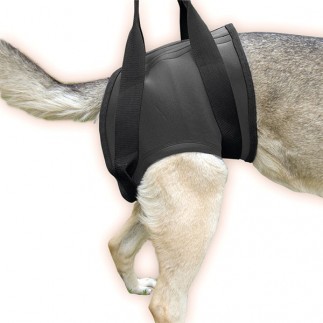 JULIUS rehab harness (hip)