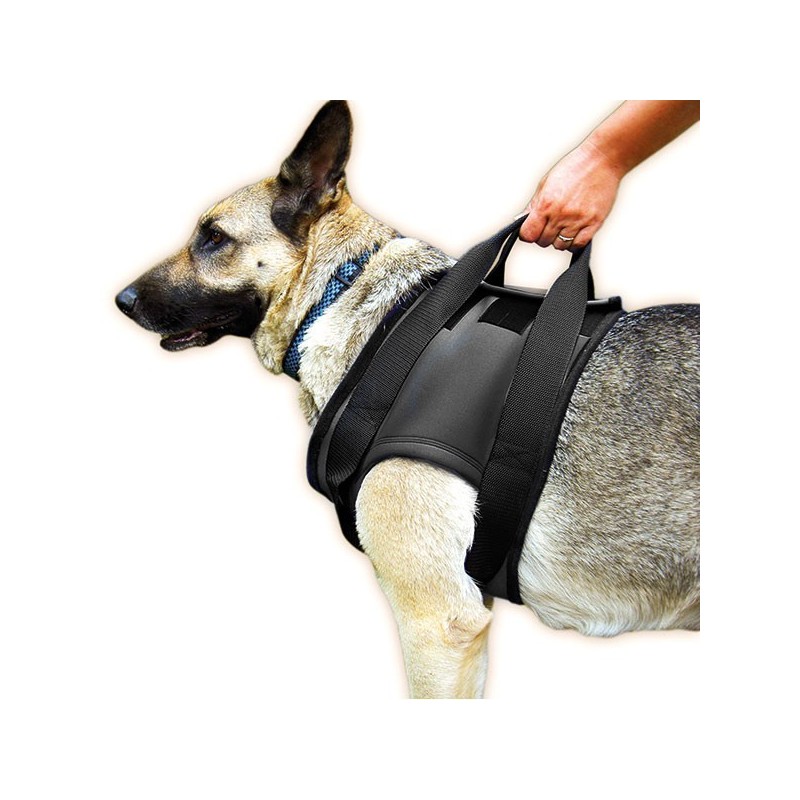 buy JULIUS Rehab Harness (shoulders) - Productos adicionales