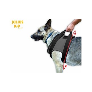 Arnés para anteriores JULIUS