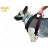 JULIUS rehab harness (shoulder)