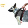 buy JULIUS Rehab Harness (shoulders) - Productos adicionales