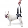 Dog Lift harness