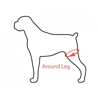 Dog Lift harness