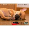 acheter Orthopédique Dog Bed - Produits supplémentaires